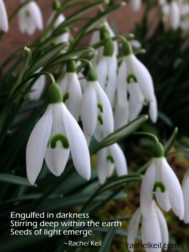 Spring is Stirring-Haiku Blog