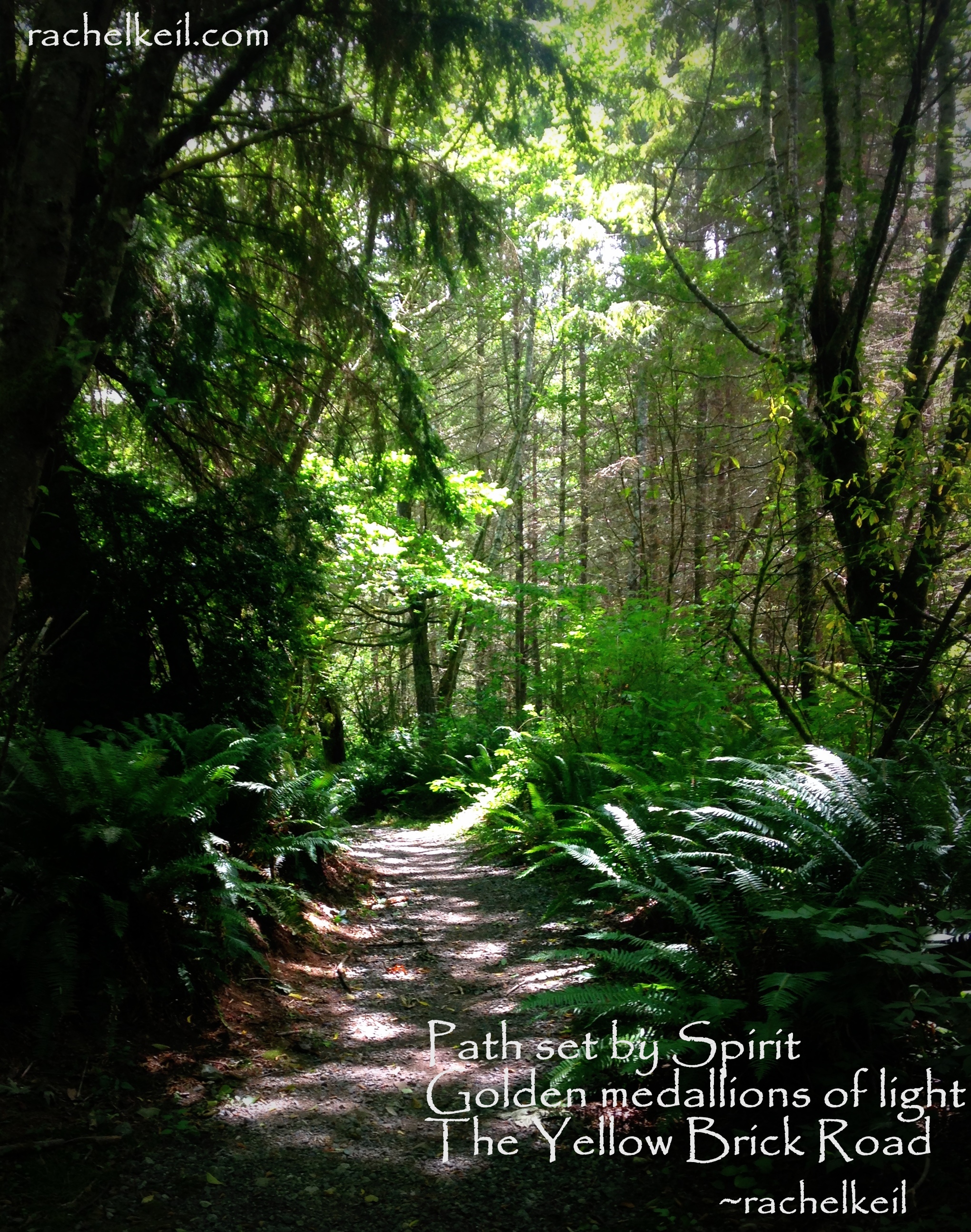 Yellow Brick Road-Blog Haiku