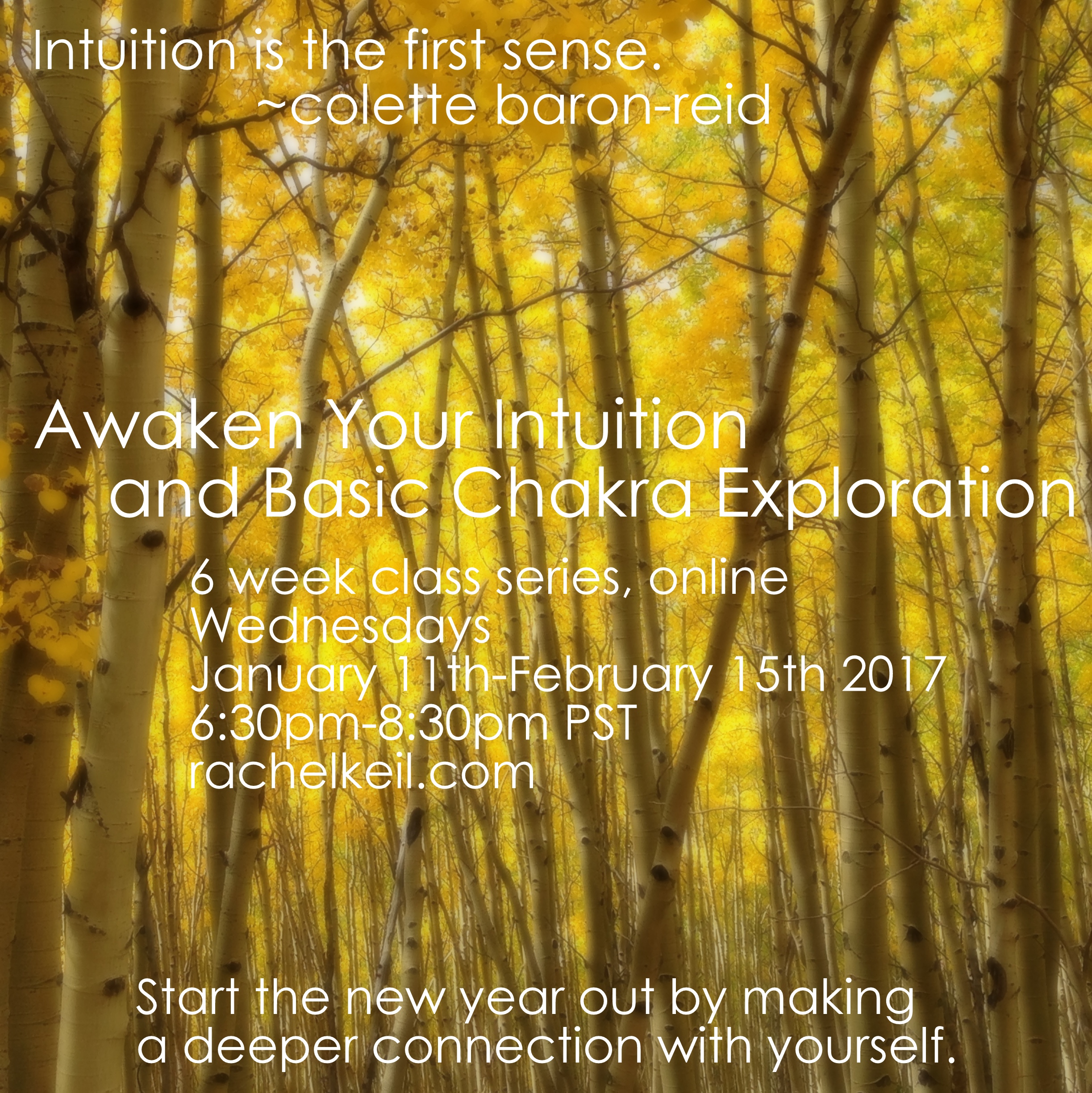 Aspen Intuition Class 2017